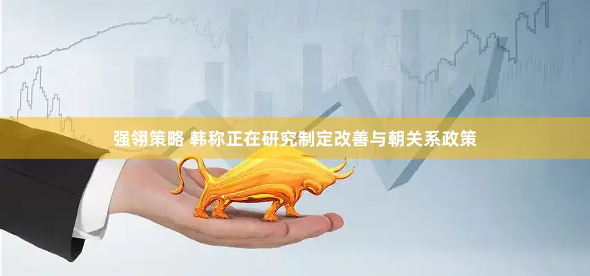 强翎策略 韩称正在研究制定改善与朝关系政策