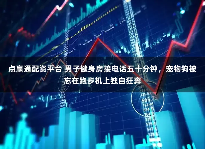 点赢通配资平台 男子健身房接电话五十分钟，宠物狗被忘在跑步机上独自狂奔